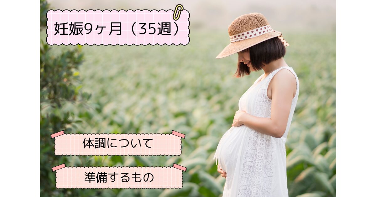 妊娠9ヶ月　妊娠35週　現状　入院準備　出産準備